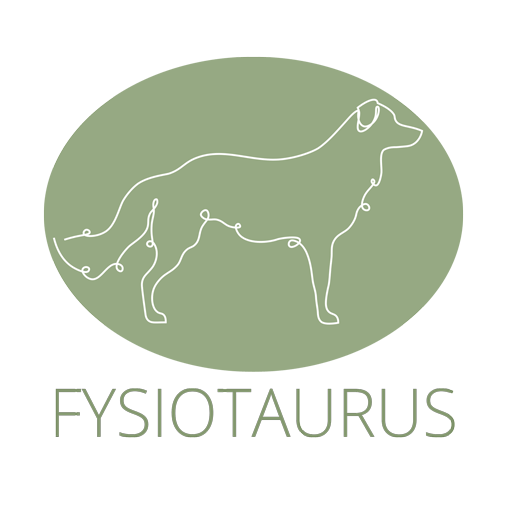 Fysiotaurus logo